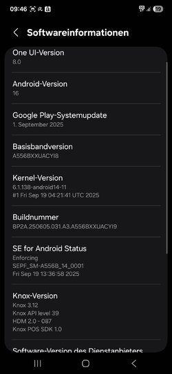 Screenshot_20251012_094650_Settings.jpg