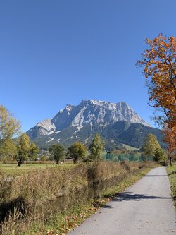 PXL_20251012_111136637.jpg