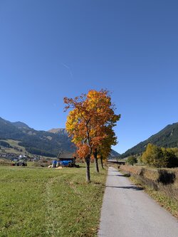 PXL_20251012_111106564.jpg