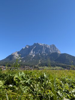 PXL_20251012_104445875.jpg