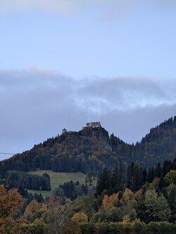 PXL_20251012_061037224.jpg