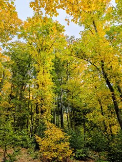 PXL_20251012_113027751~2.jpg