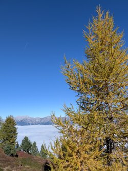 PXL_20251012_083234196.jpg