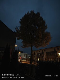 IMG_20251013_191522.jpg IMG_20251013_191522.jpg