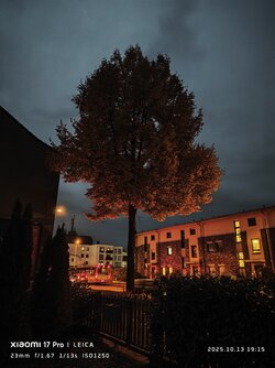 IMG_20251013_191543.jpg IMG_20251013_191543.jpg