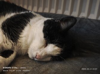 IMG_20251013_193757.jpg IMG_20251013_193757.jpg