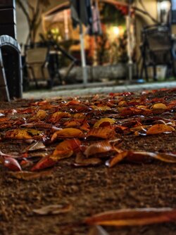 IMG_20251013_192851658.jpg