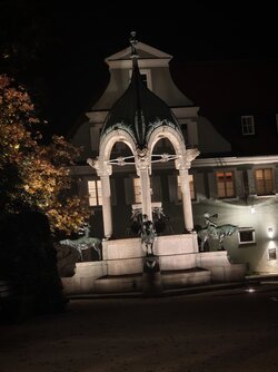 IMG_20251013_192701307.jpg