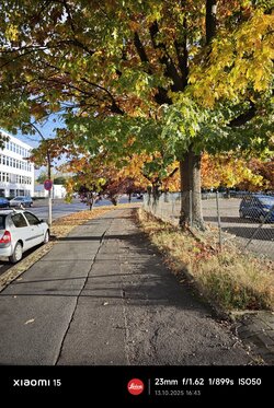 X15_IMG_20251013_164304.jpg