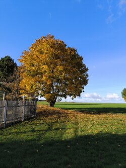 IMG_20251013_160940.jpg