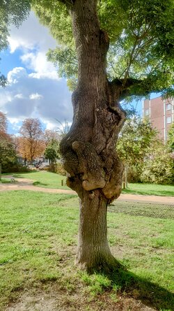 20251013_120432.jpg