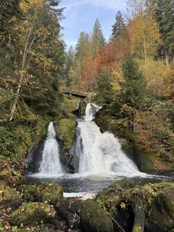 IMG_8664 2.jpeg