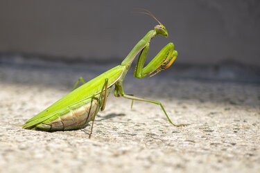 IMG_20251011_125330.jpg