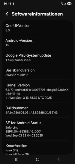 Screenshot_20251014_204819_Settings.jpg