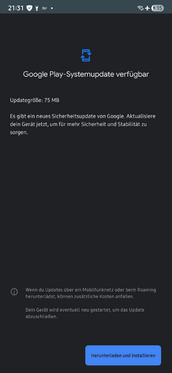 Screenshot_20251014_213156_Google Play Store.png