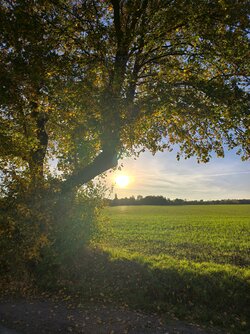 IMG_20251013_173149.jpg