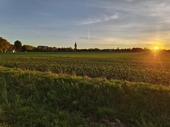 IMG_20251013_180125.jpg