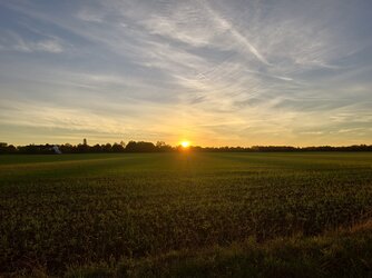 IMG_20251013_180238.jpg