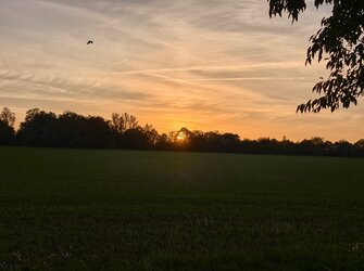 IMG_20251013_184116.jpg