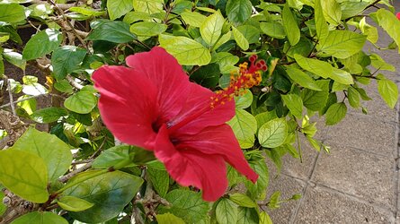 IMG20251008143205.jpg