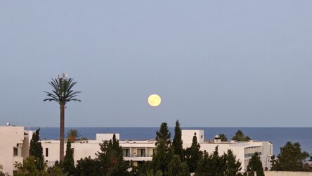 IMG20251007180325.jpg