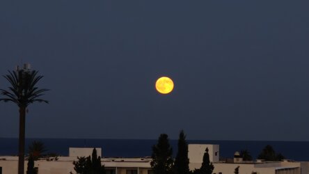 IMG20251007180629.jpg