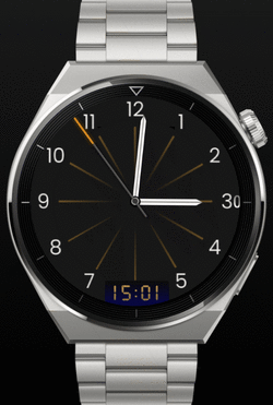 WFXWatch12gt3_animation.gif