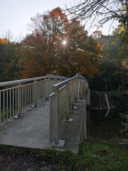 IMG_20251014_093127.jpg