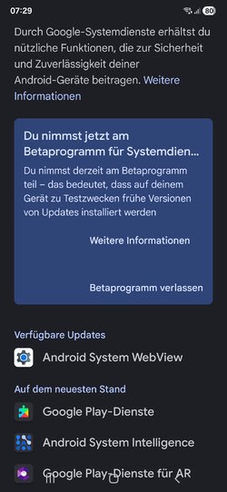 Screenshot_20251016_072955_Google Play Store.jpg