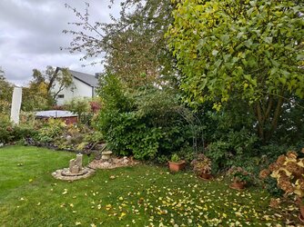 IMG_20251016_132523.jpg IMG_20251016_132523.jpg