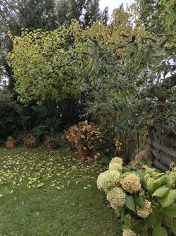 Street1.jpg Street1.jpg