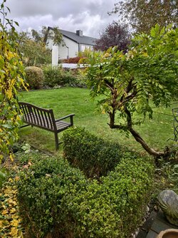 IMG_20251016_132544.jpg IMG_20251016_132544.jpg