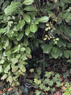 Street2.jpg Street2.jpg