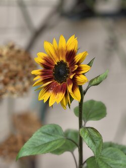 IMG_20251016_144632.jpg IMG_20251016_144632.jpg