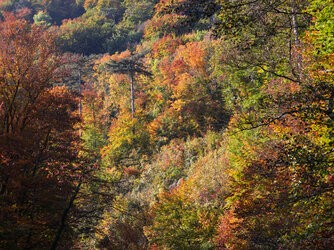 IMG_20251014_100504.jpg