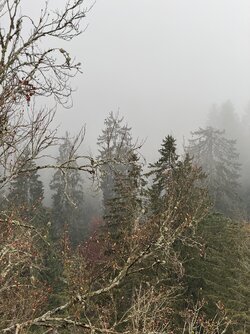 IMG_9235 2.jpeg