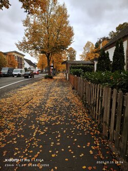 IMG_20251018_100314.jpg