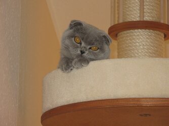Elli-120426-k.jpg