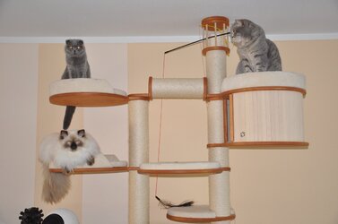 Elli-130612-k.jpg