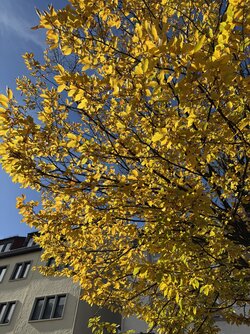 IMG_9693 2.jpeg