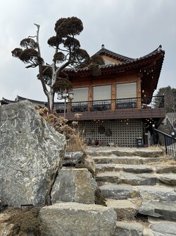 IMG_6978 2.jpeg