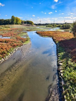 IMG_20251018_133718.jpg