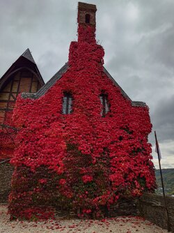 20251016_125955.JPG