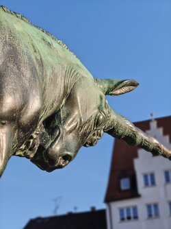 IMG_20251018_171630675.jpg