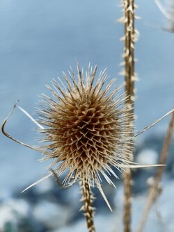 IMG_20251018_175748526.jpg