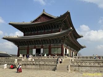 IMG_8244.jpeg
