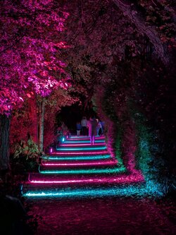 PXL_20251018_182951111.NIGHT.RAW-01.jpg