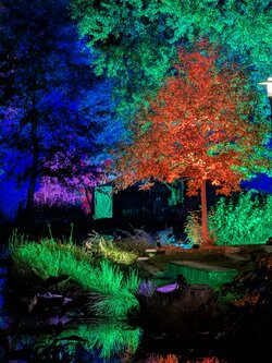 PXL_20251018_183055443.NIGHT.RAW-01.jpg