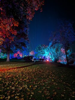 PXL_20251018_181848576.NIGHT.RAW-01.jpg