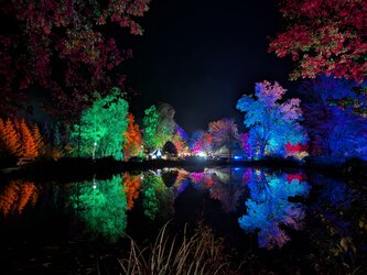 PXL_20251018_182459202.NIGHT.RAW-01.jpg